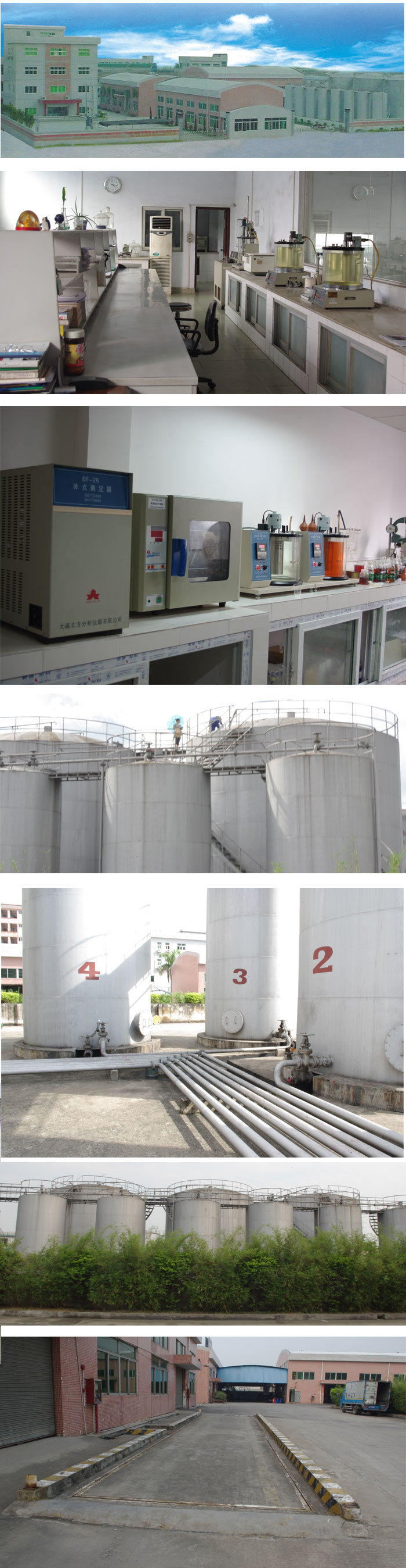 ����֤��